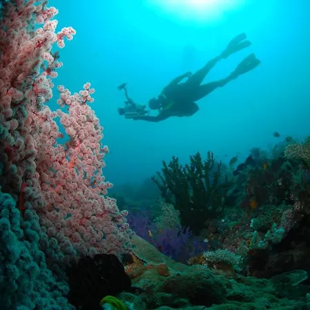 Complex Ocean Park Ii *